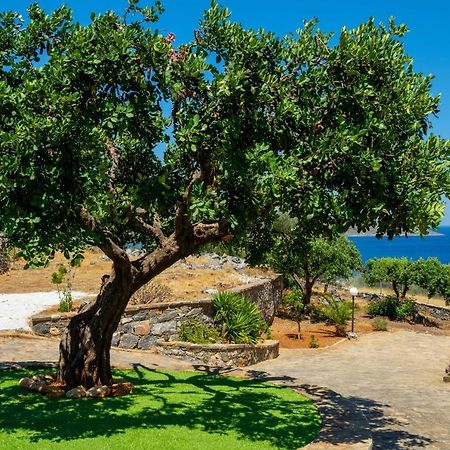Elounda Anemelia Apartments Eksteriør billede