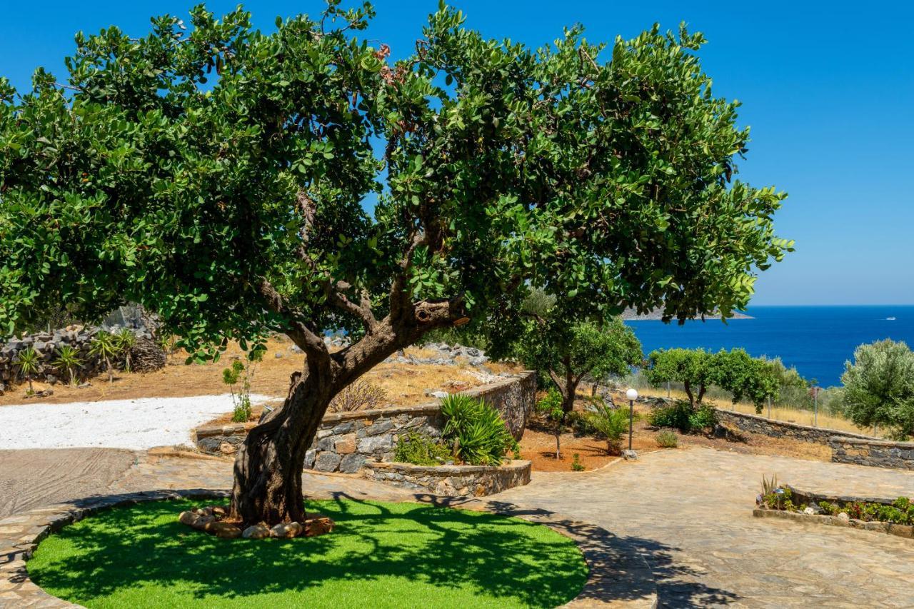 Elounda Anemelia Apartments Eksteriør billede